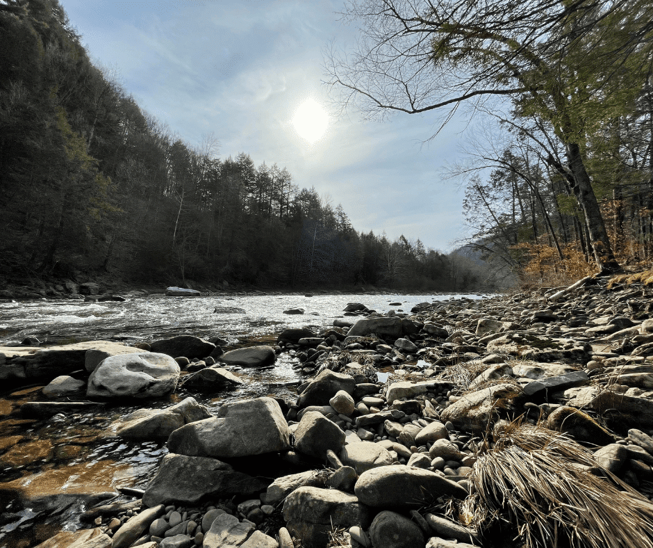 rocks near a mountain river on a sunny day