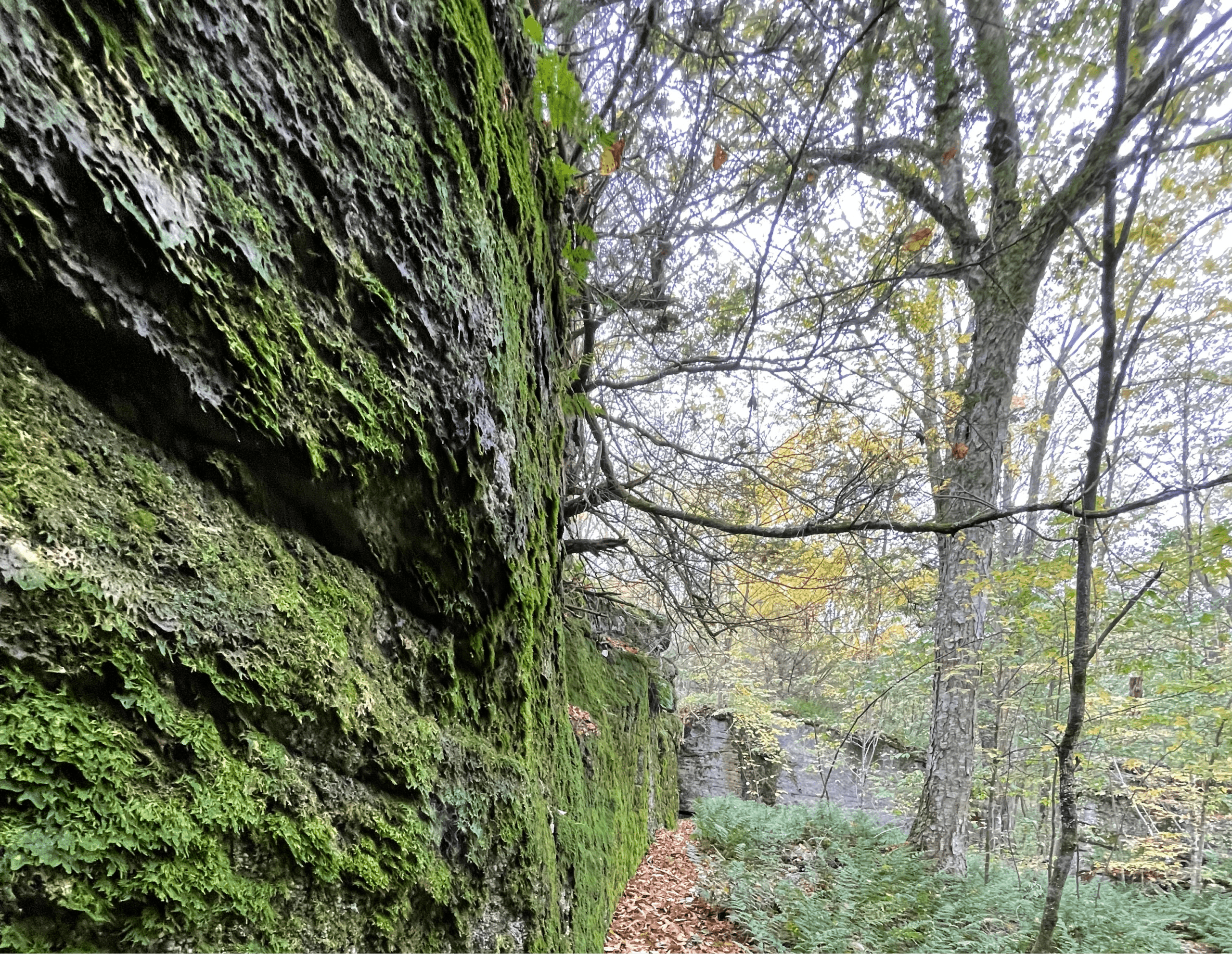 the good drop serves patients from clarks summit, pa